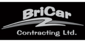 Bricar Logo